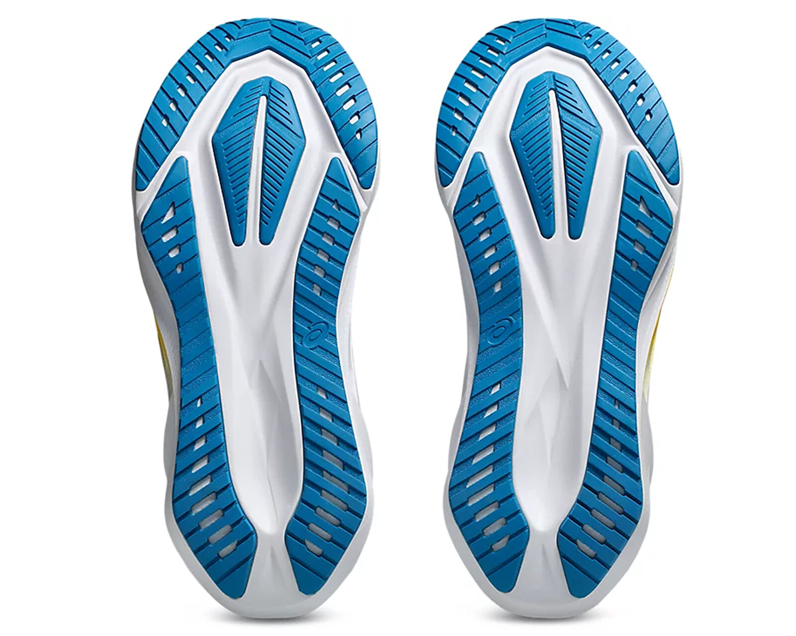 Asics Gri Asics Novablast 5