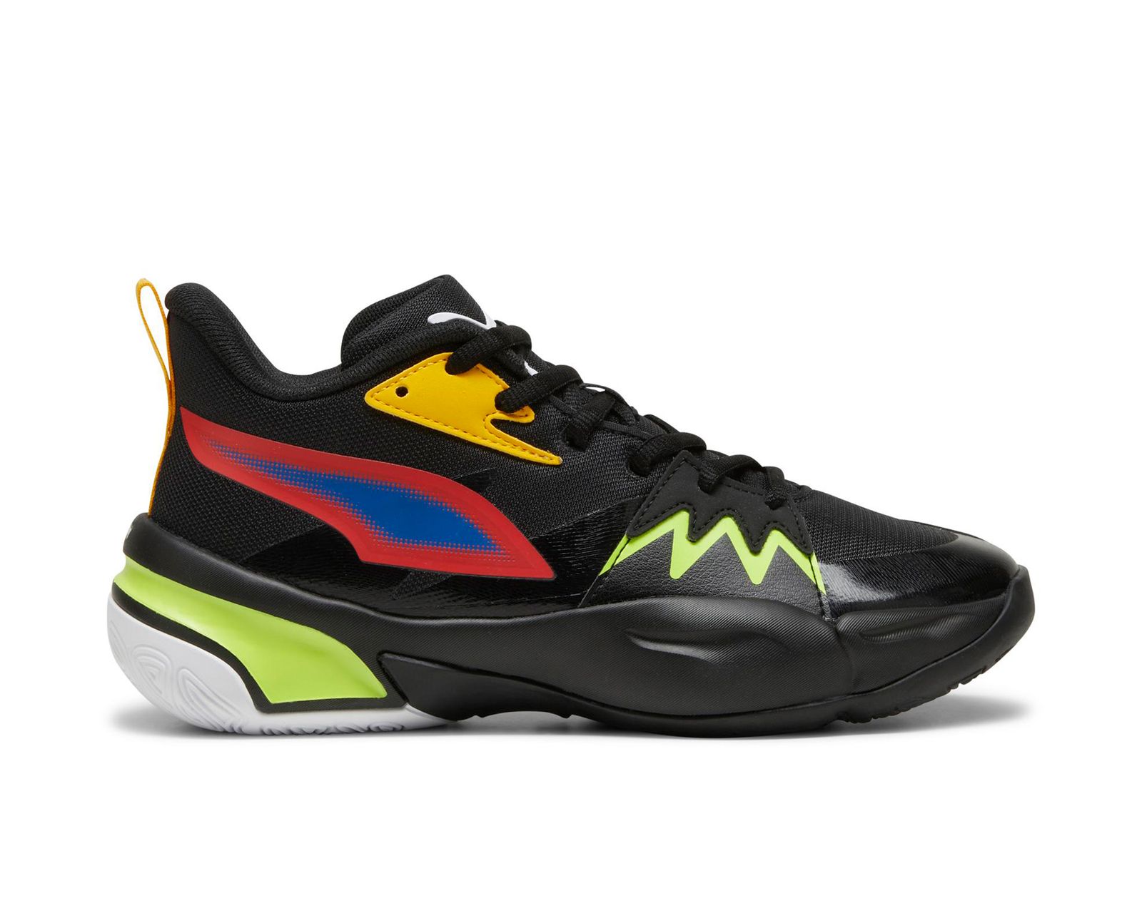 Puma Renkli Puma Genetics