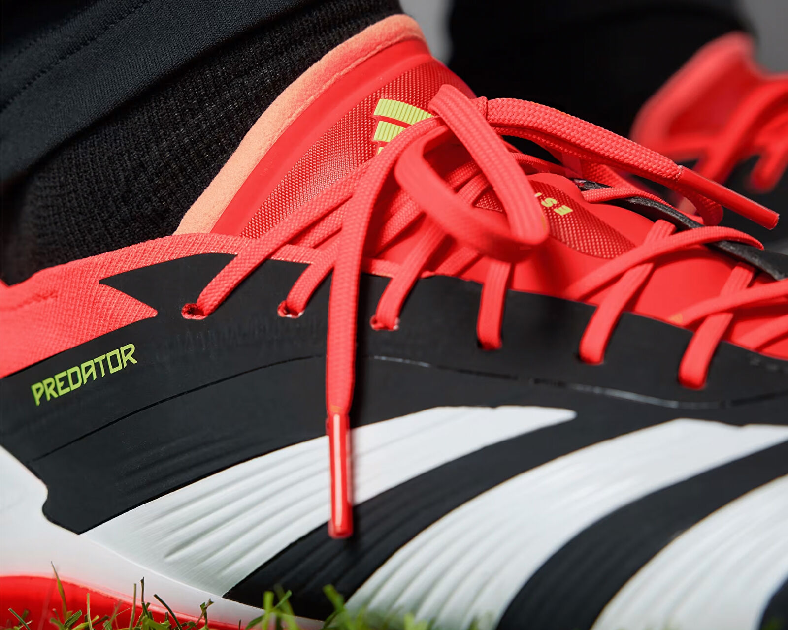 Adidas Siyah Adidas Predator Elite FG