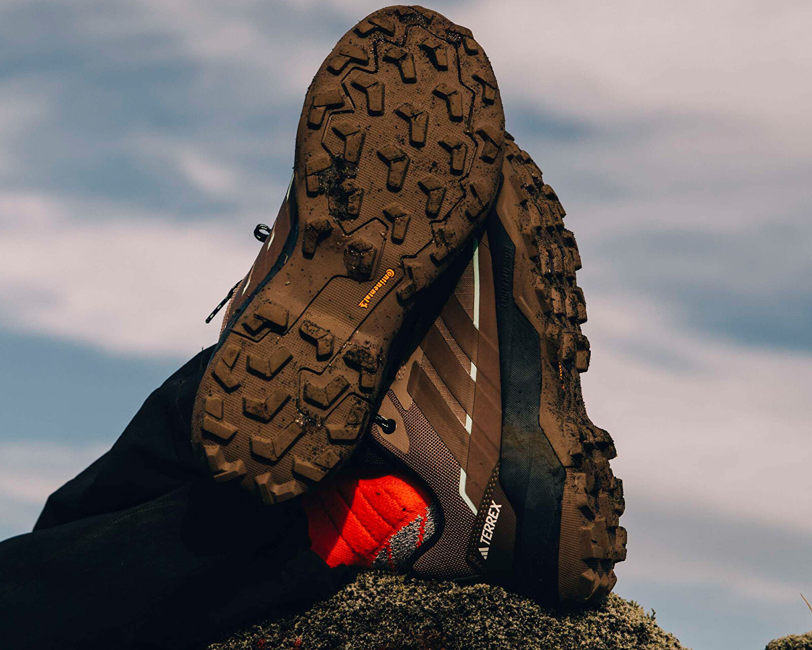 Adidas Kahverengi Adidas Terrex Skychaser