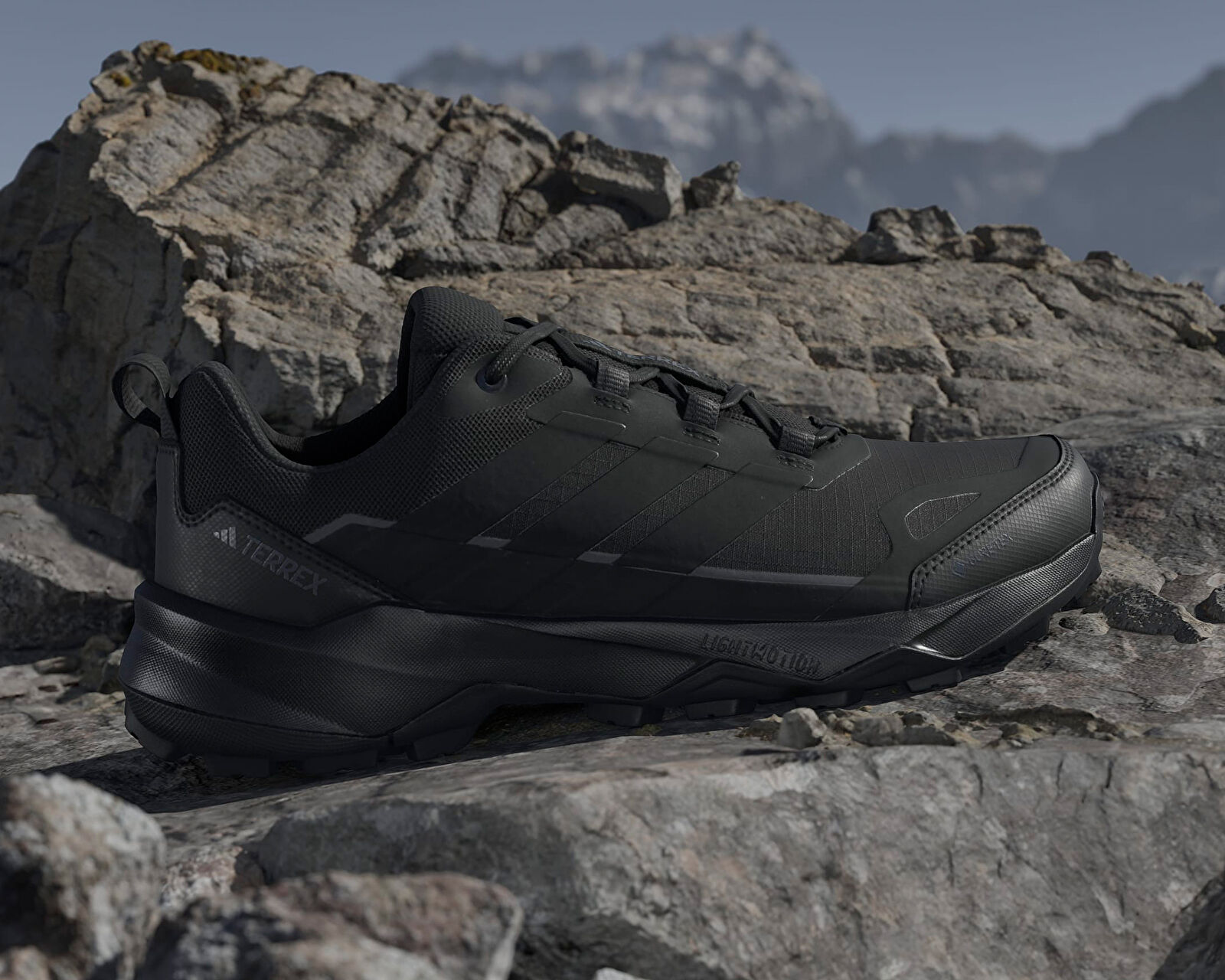 Adidas Siyah Adidas Terrex Skychaser AX5