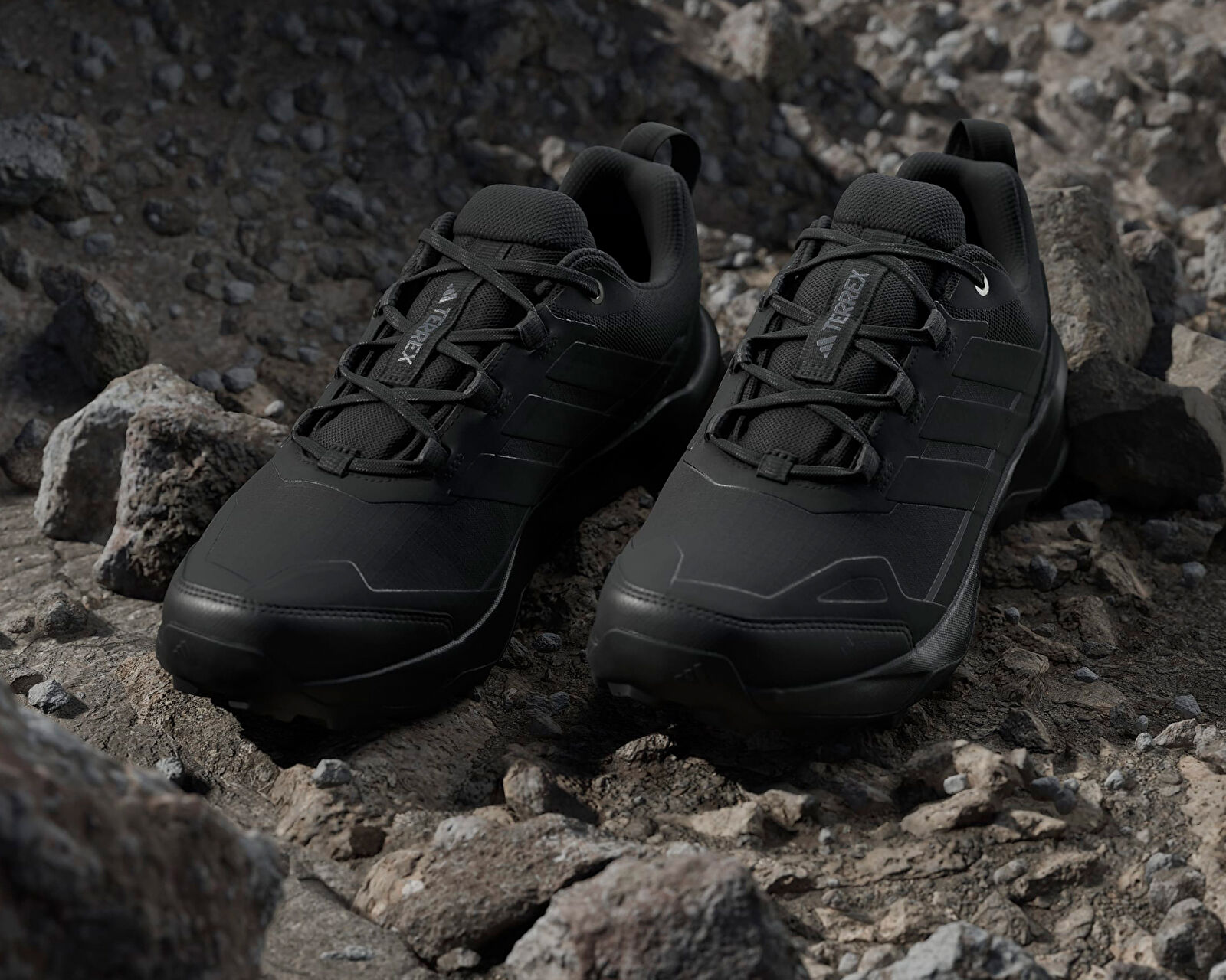 Adidas Siyah Adidas Terrex Skychaser AX5