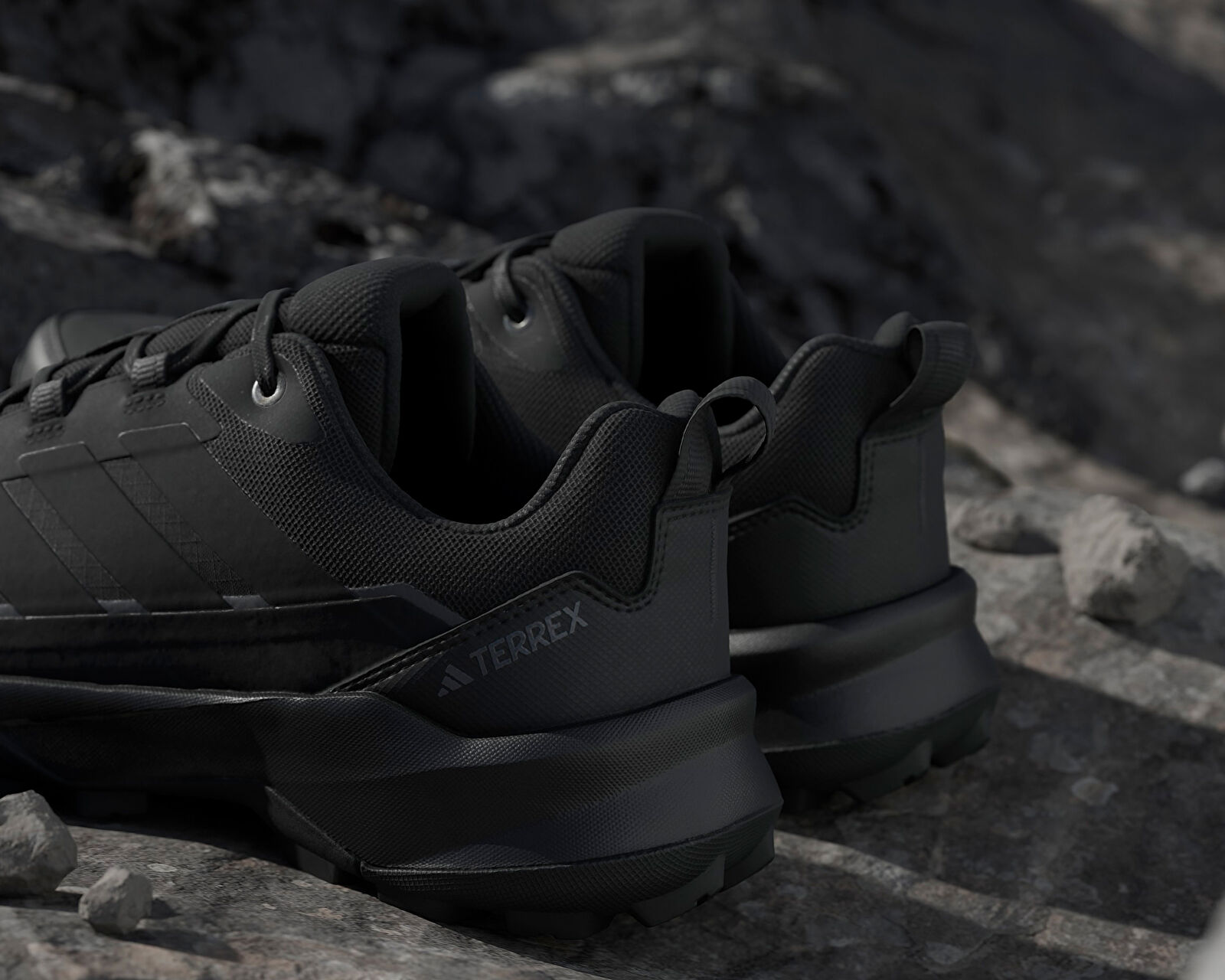 Adidas Siyah Adidas Terrex Skychaser AX5