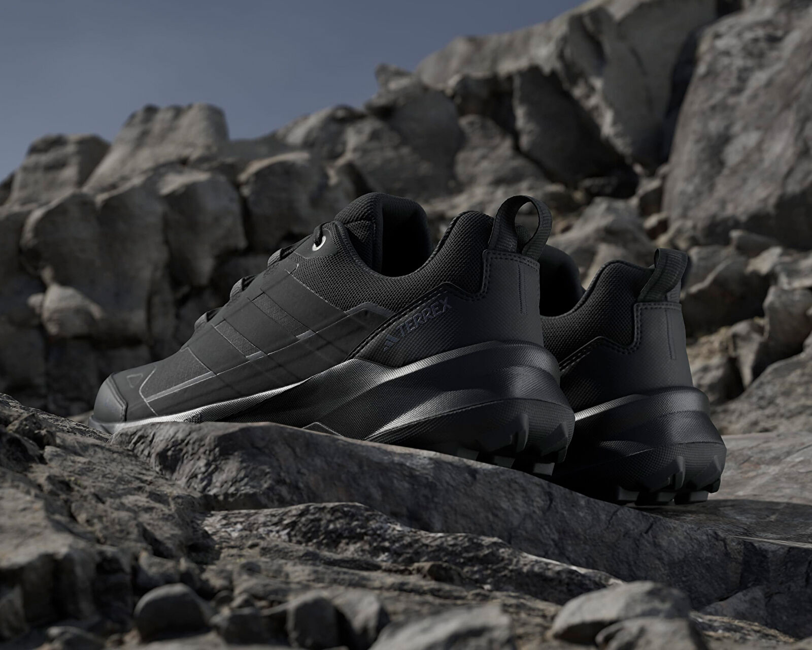 Adidas Siyah Adidas Terrex Skychaser AX5