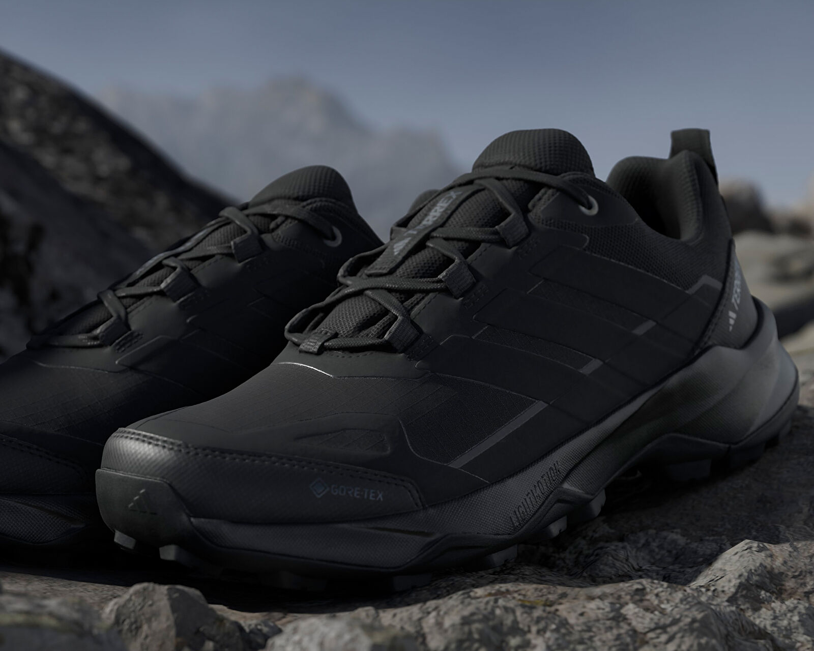 Adidas Siyah Adidas Terrex Skychaser AX5