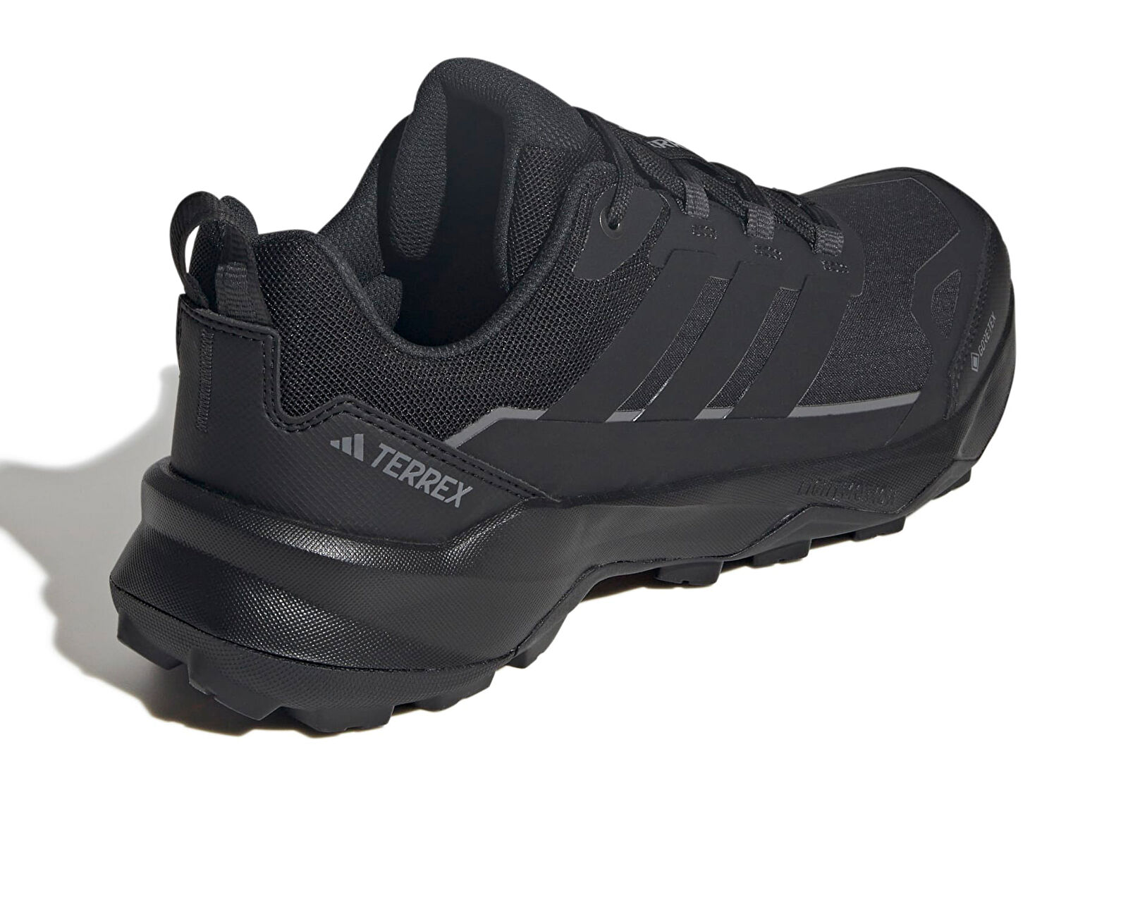 Adidas Siyah Adidas Terrex Skychaser AX5