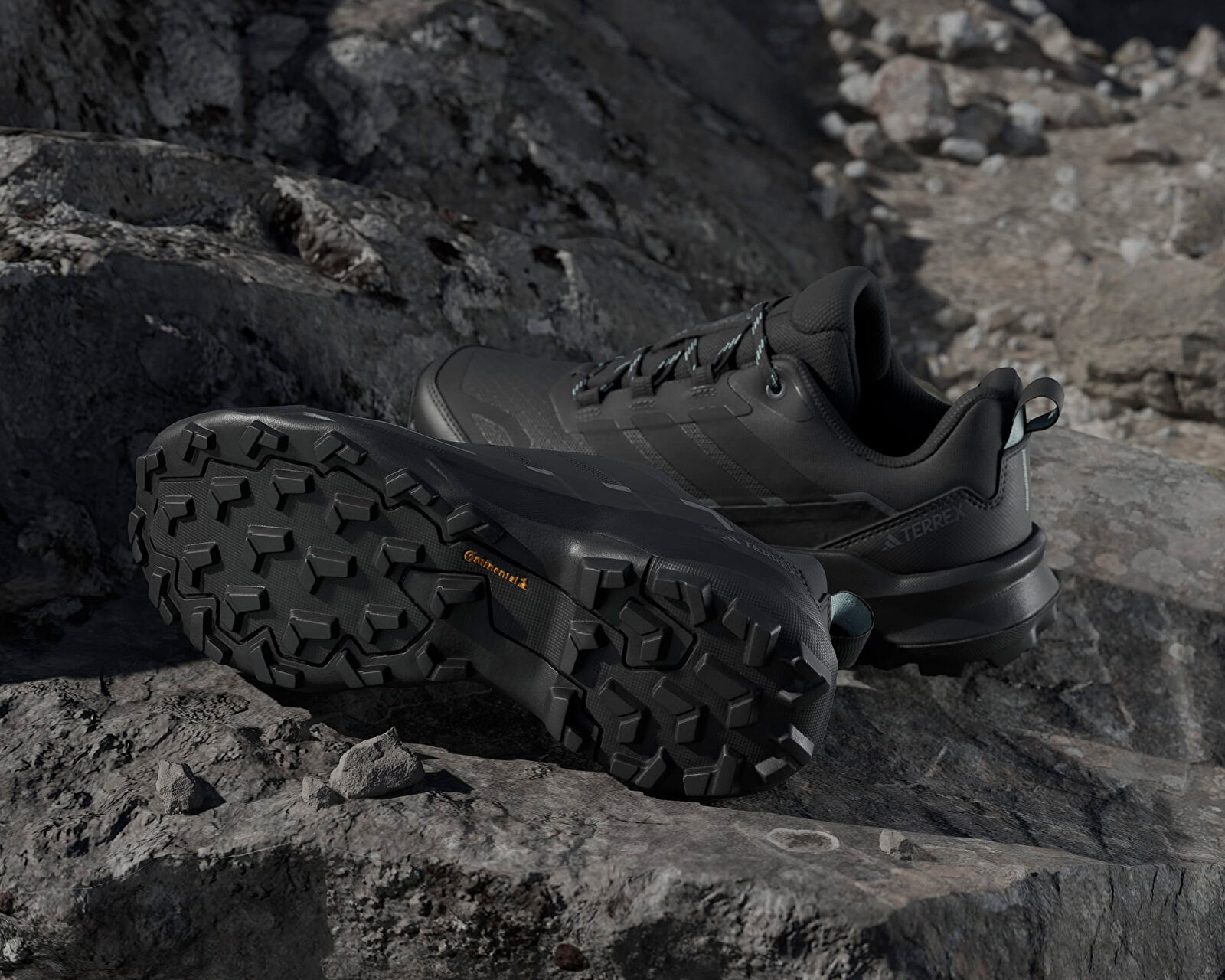 Adidas Siyah Adidas Terrex Skychaser