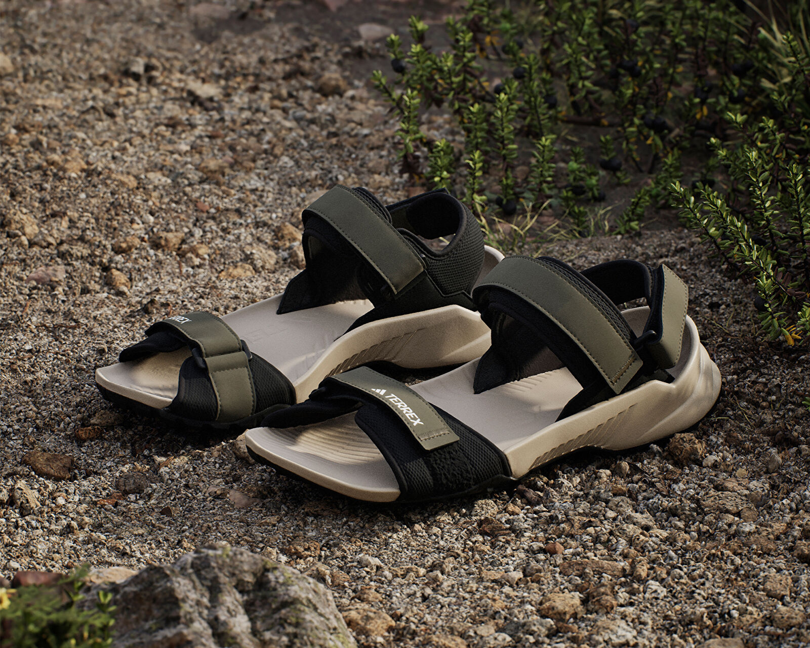 Adidas Haki Adidas Terrex Hydroterra