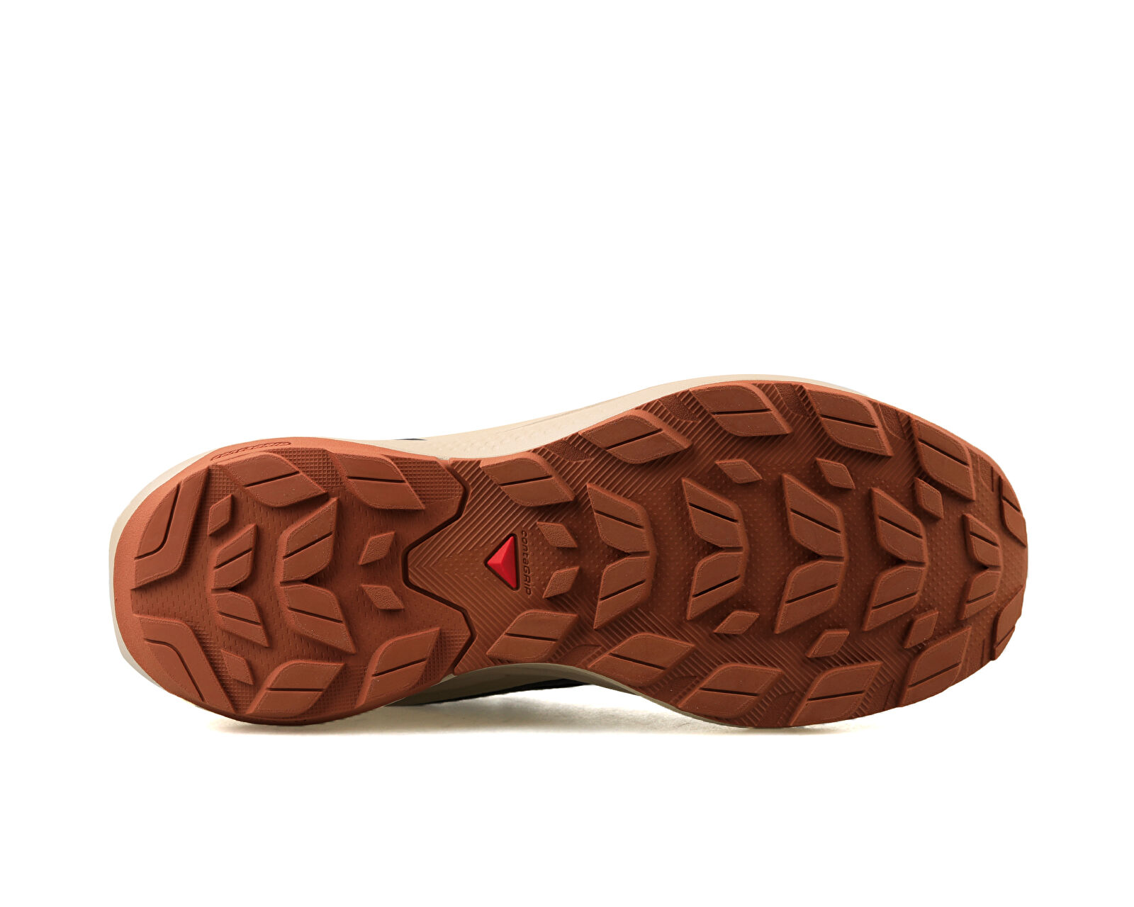Salomon Siyah Salomon Elixir Activ