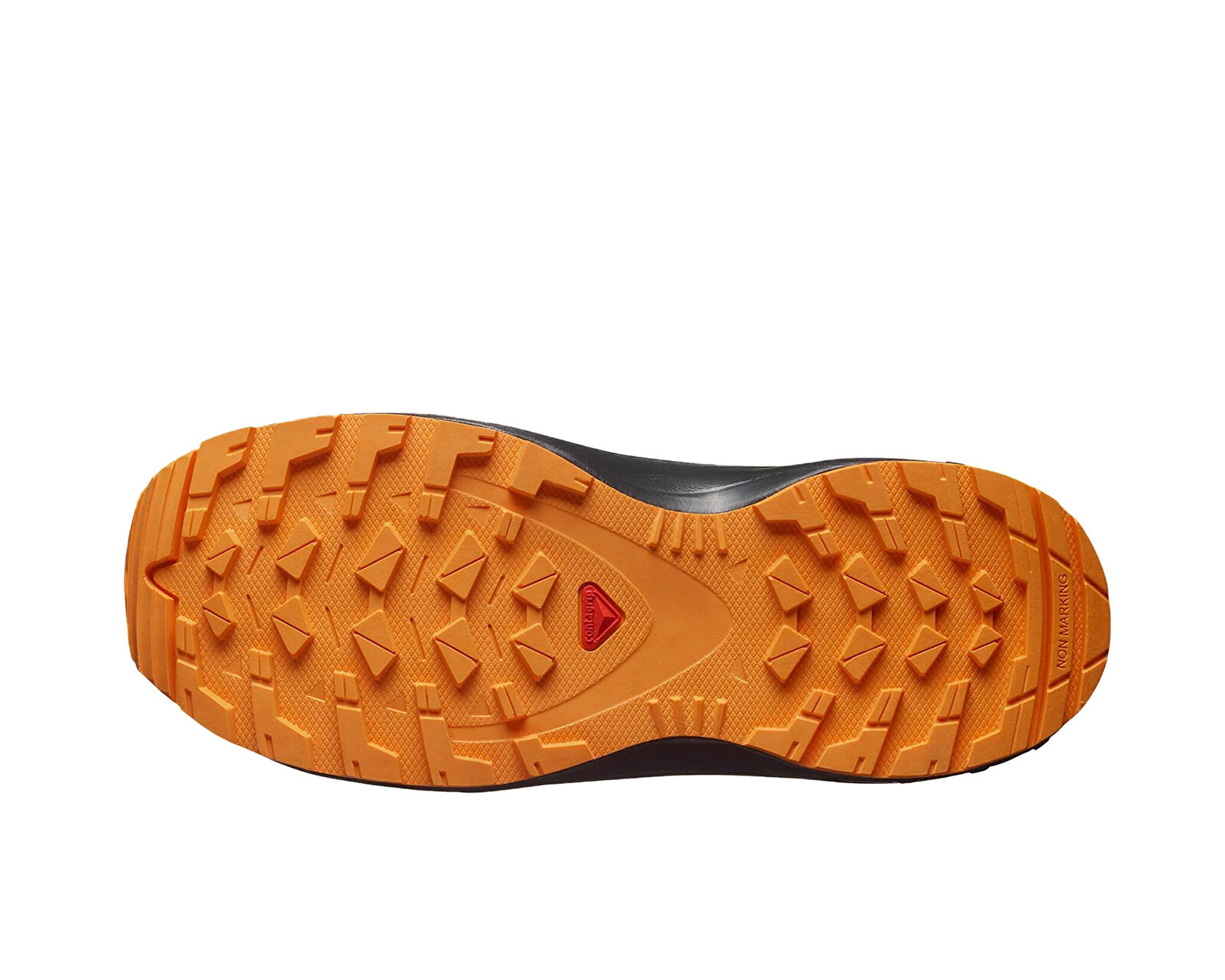 Salomon Gri Salomon Xa Pro V8