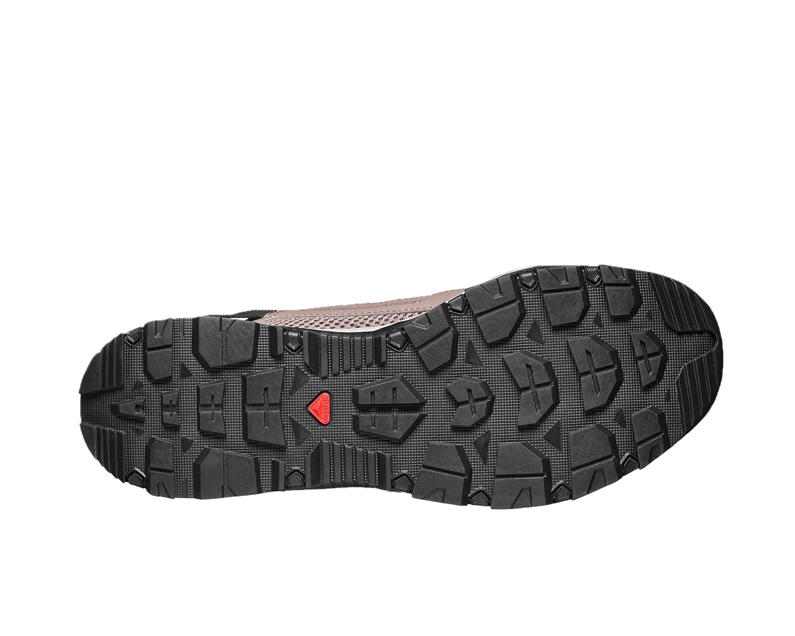 Salomon Kahverengi Salomon Techamphibian 5