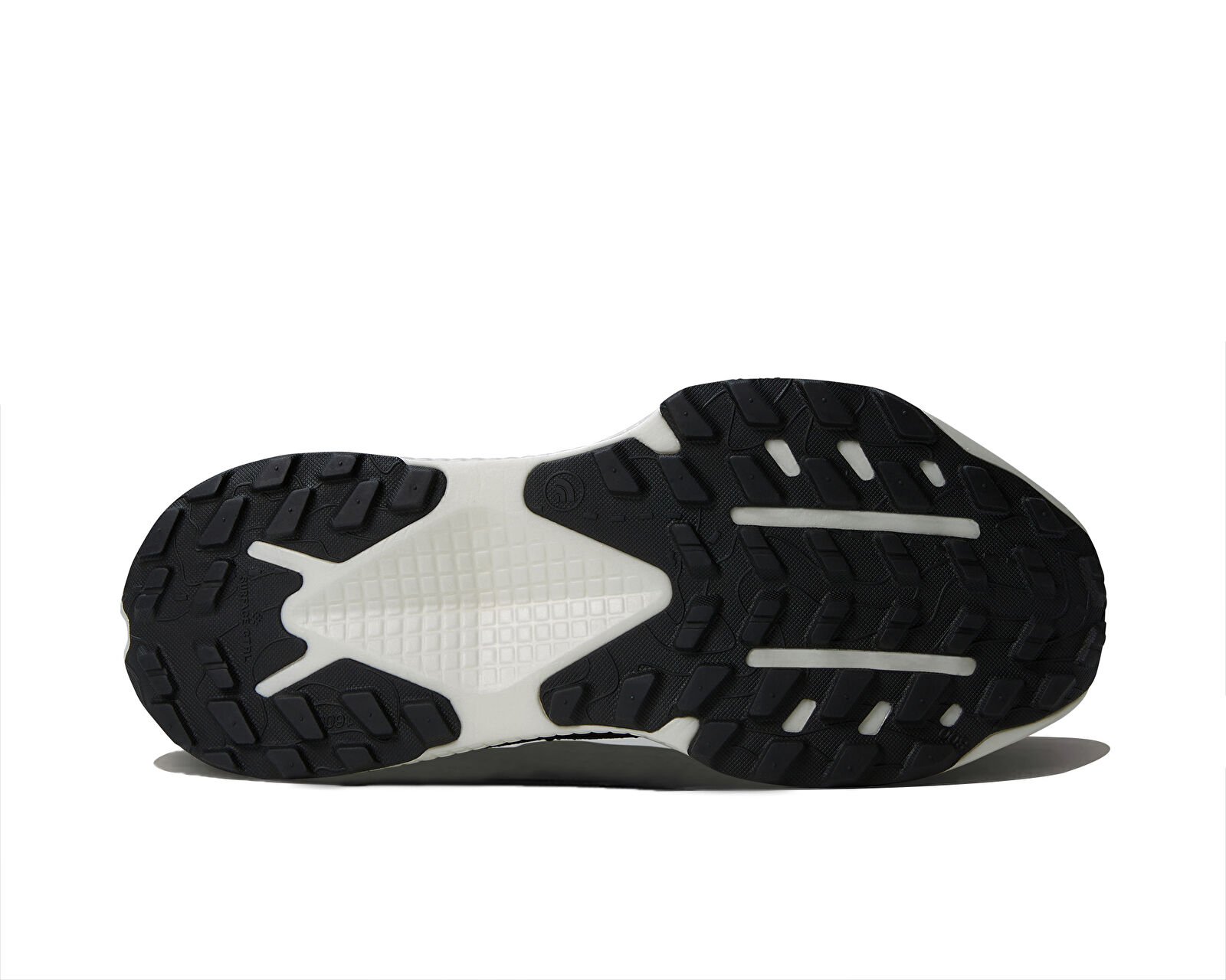 The North Face Siyah The North Face Altamesa 500