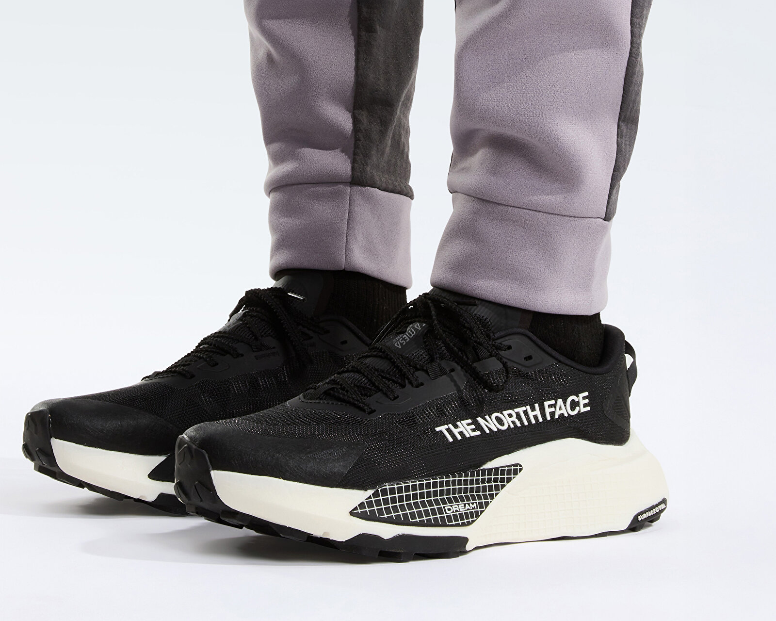 The North Face Siyah The North Face Altamesa 500 V2