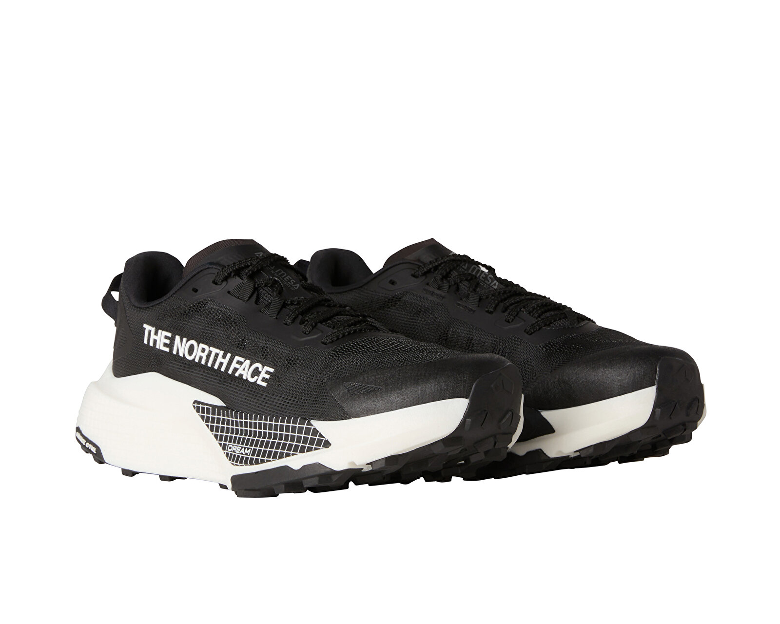 The North Face Siyah The North Face Altamesa 500 V2