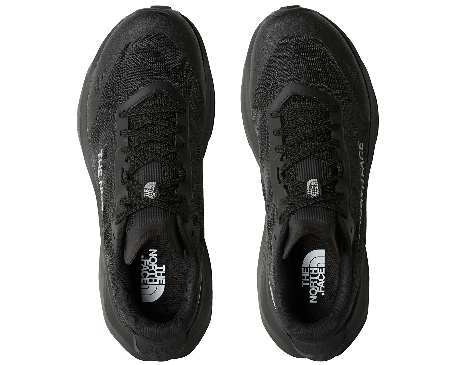 The North Face Siyah The North Face Altamesa 300 V2