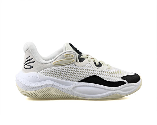 Curry Splash 24 Sde
