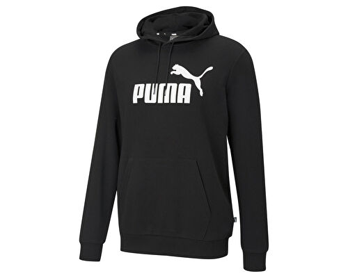 Ess Big Logo Hoodie Tr