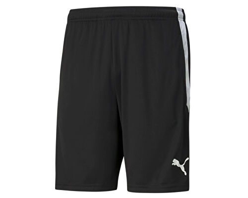 Teamliga  Training Shorts
