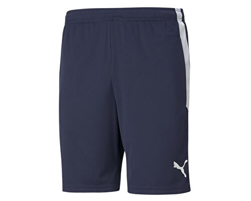 Teamliga Training Shorts
