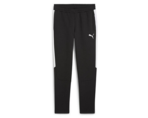 Team Evostripe Pants