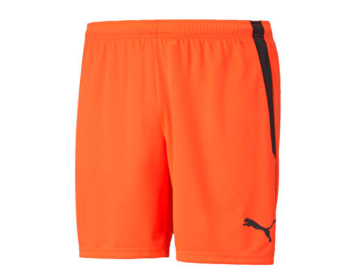 Teamliga Shorts
