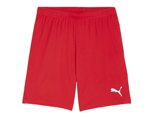 Teamgoal Shorts