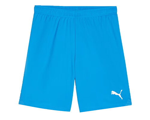 Teamgoal Shorts