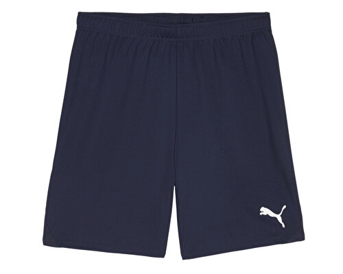 Teamgoal Shorts