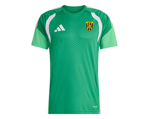 ALIAGA FK FORMA