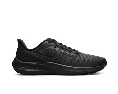 Air Zoom Pegasus 39