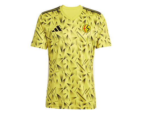 ESKISEHIRSPOR FORMA