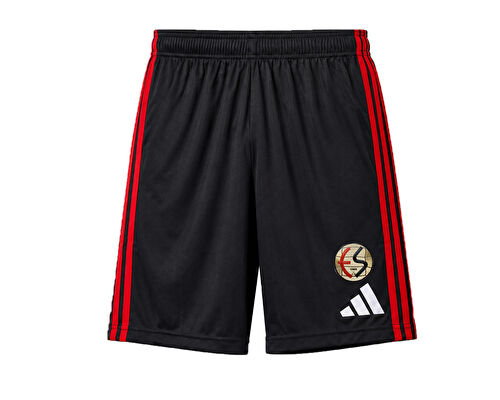 ESKISEHIRSPOR SORT