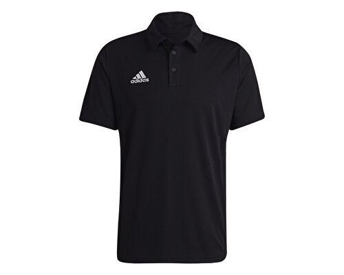 ENT22 POLO