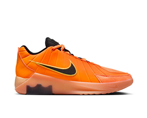 LEBRON WITNESS IX