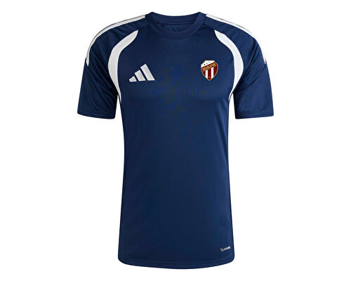 INEGOLSPOR FORMA