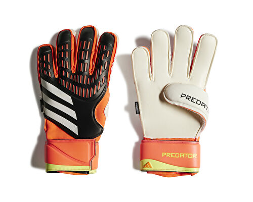 PRED GL MTC FS