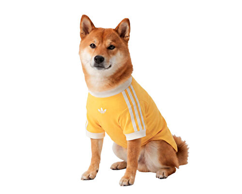 PET CALI TEE