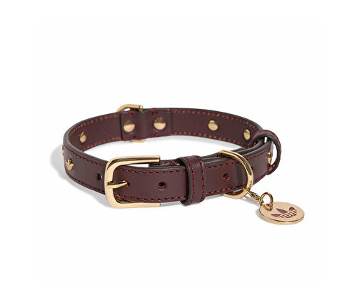 PET COLLAR