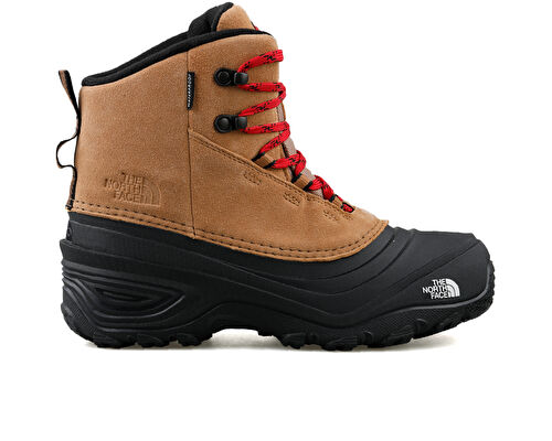 Y CHILKAT V LACE WP
