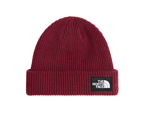 SALTY LINED BEANIE