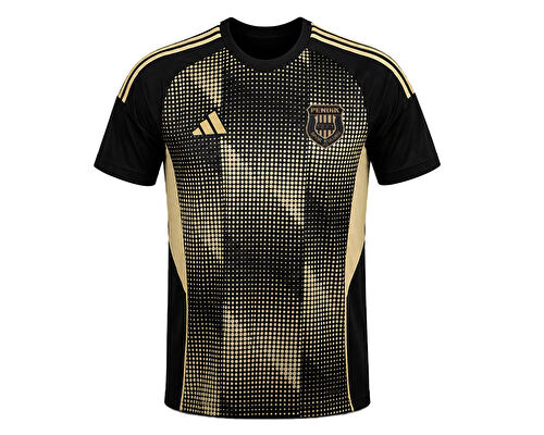 Pendikspor 26/27 Gold Forma