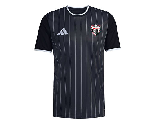 SOMASPOR FORMA