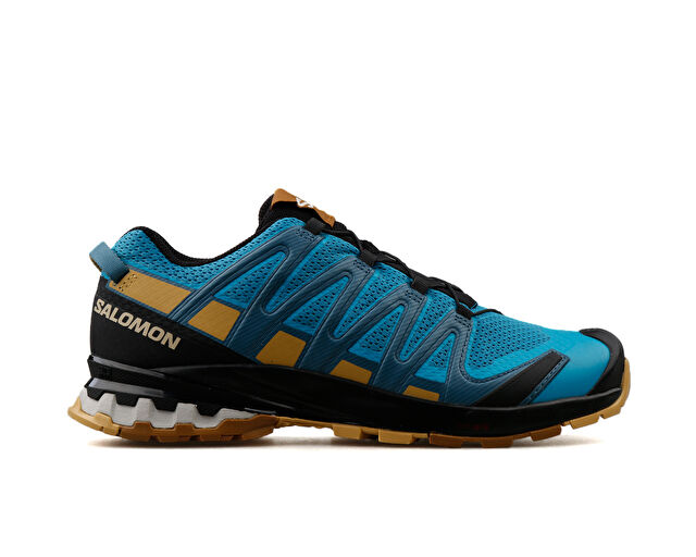 Salomon Erkek Xa Pro 3D V8 Mavi L41439900