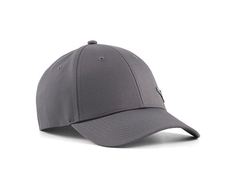 ESS METAL PUMA CAT BB CAP