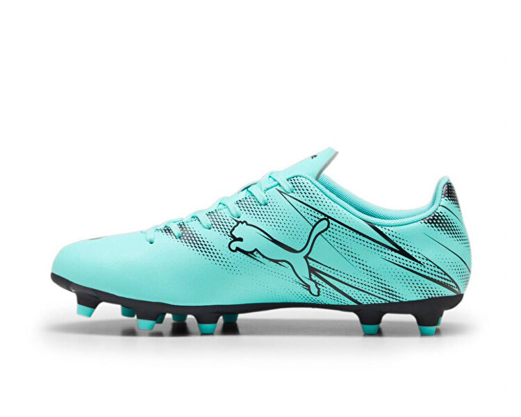 Attacanto Fg/Ag