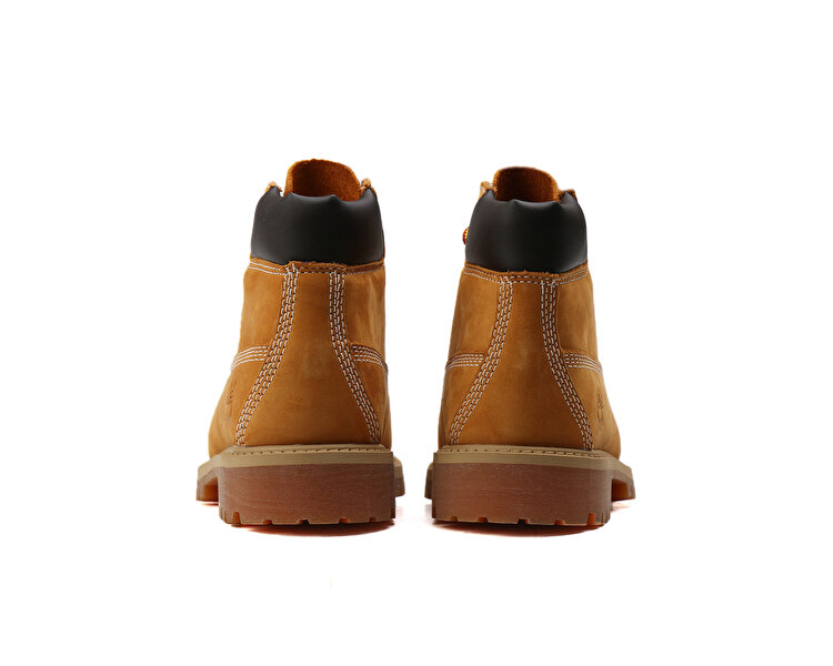 6 in Premium Wp Boot