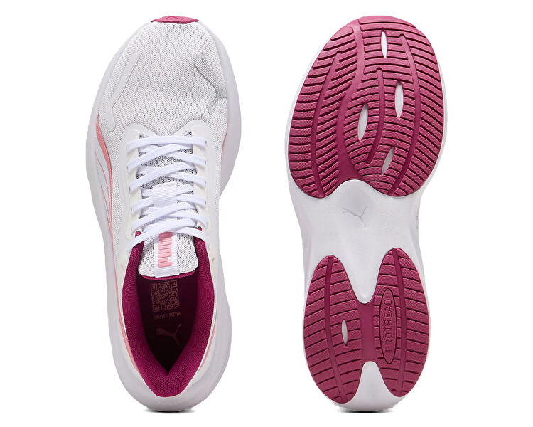 POUNCE LITE