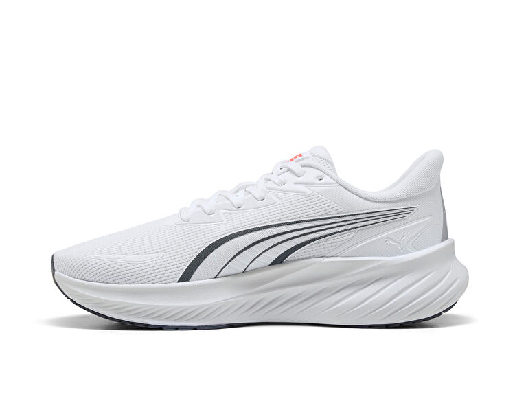 POUNCE LITE 2