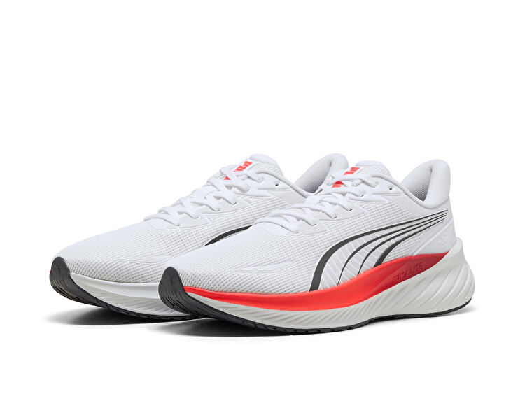 POUNCE LITE 2