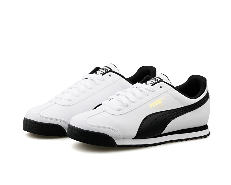 Roma Basic